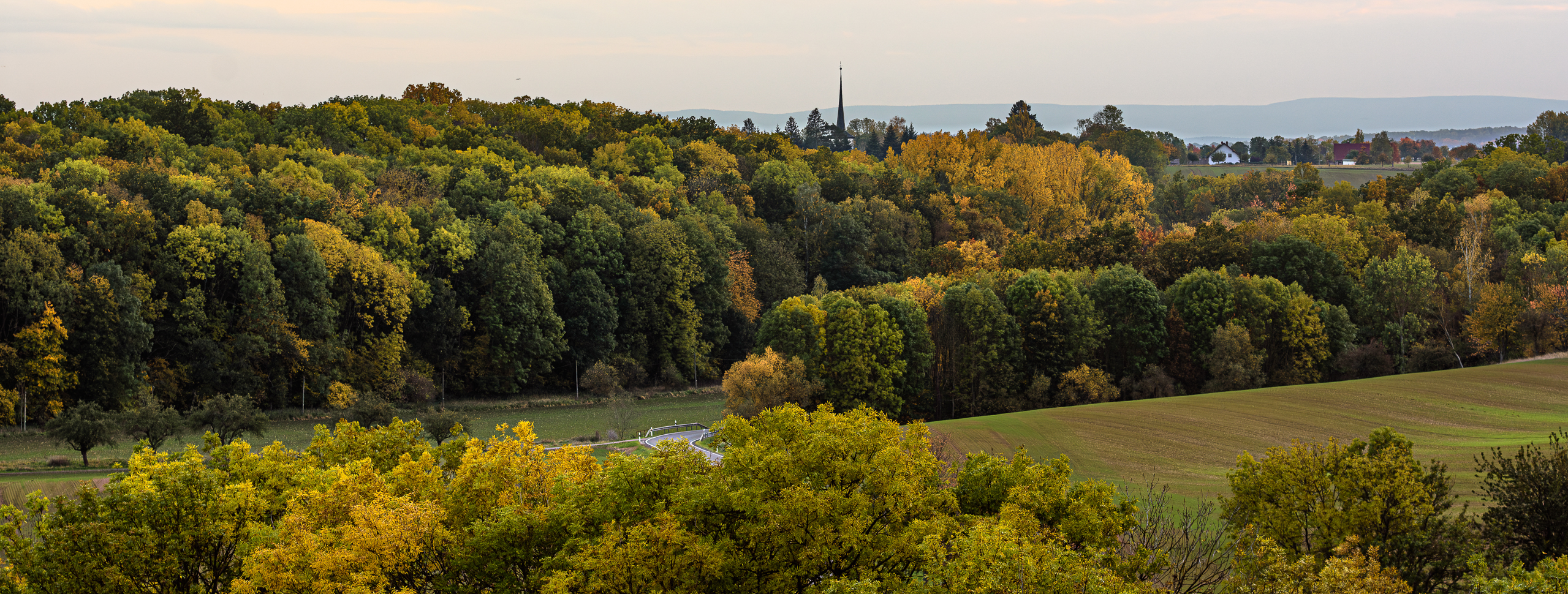 Der Wald mit seinen Herbstfarben